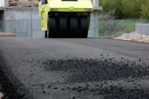 Best Commercial Driveway Pavers  in Chaparral, NM