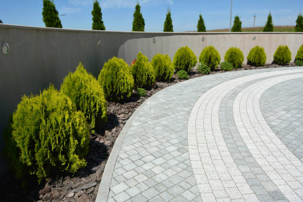 Best Driveway Repair Near Me  in Chaparral, NM