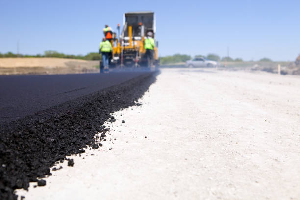 Best Residential Driveway Paver Services  in Chaparral, NM