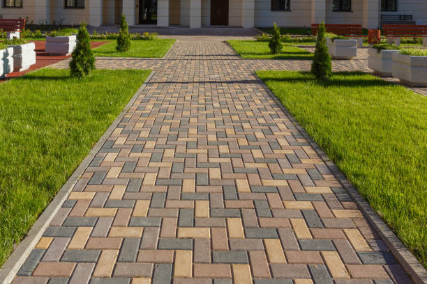 Best Local Driveway Pavers  in Chaparral, NM