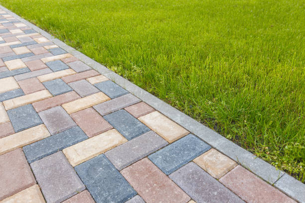 Best Affordable Driveway Pavers  in Chaparral, NM